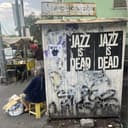 Walk Light thumbnail 1